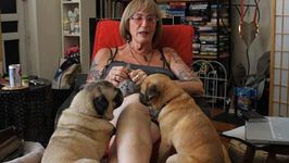 Kate Bornstein, an older white person with light skin and shoulder-length blonde hair, sits in a red chair in a comfortable home surrounded by books and personal items. She is wearing a tank top and her iconic orange round glasses. Two pugs sit close to her attentively.